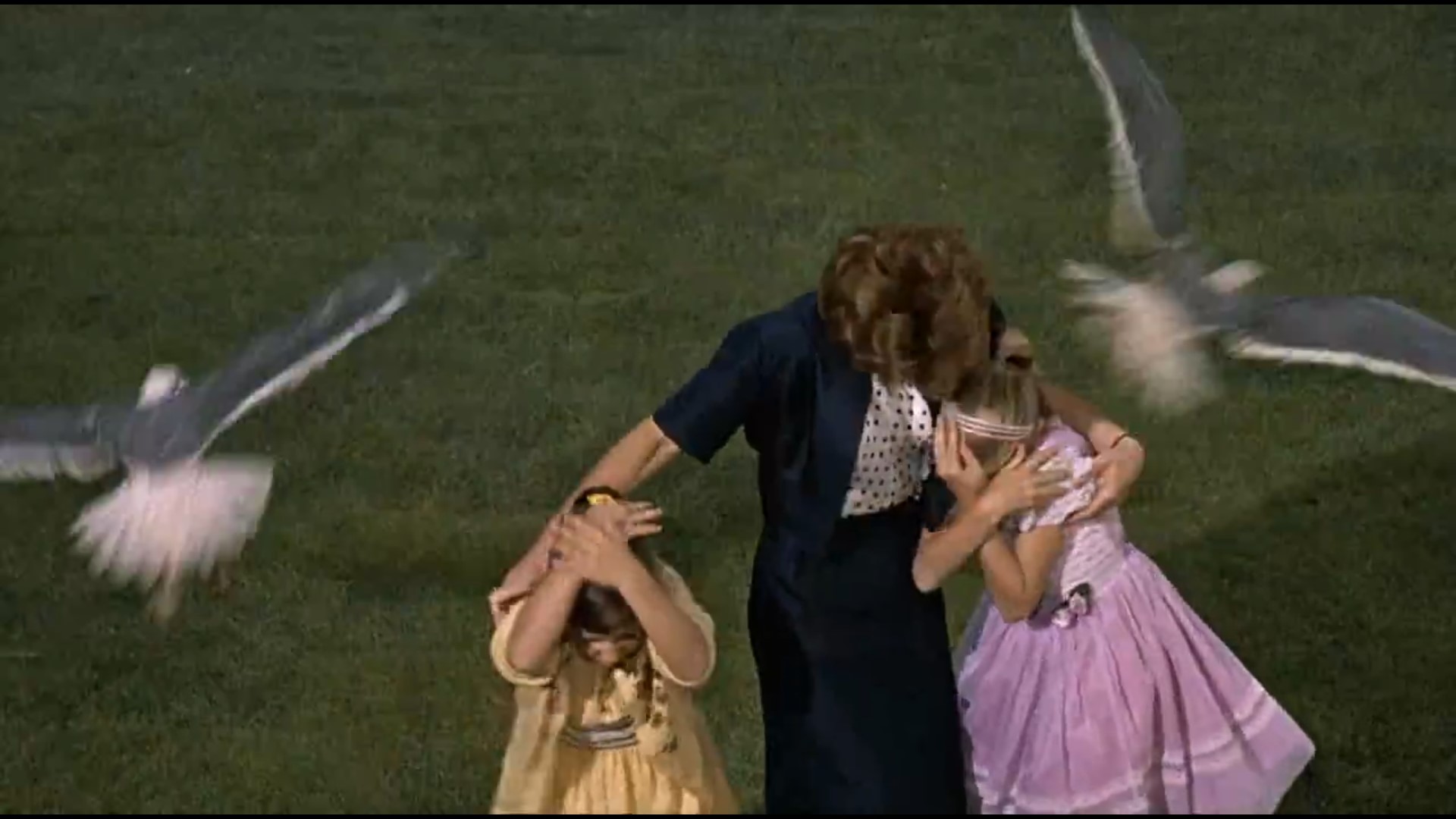 A scene of a bird attacking a human (Source - The Birds movie)